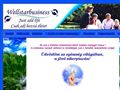 http://wellstarbusiness.hu ismertető oldala